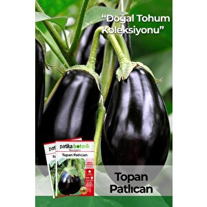 150 Adet Yerli Ata Topan Patlıcan Tohumu