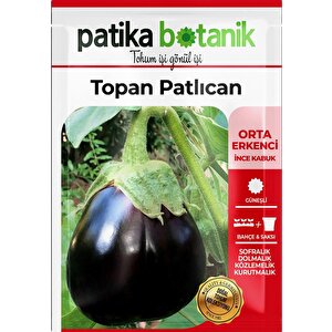 150 Adet Yerli Ata Topan Patlıcan Tohumu