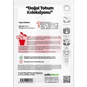 150 Adet Yerli Ata Topan Patlıcan Tohumu