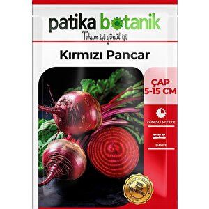 100 Adet Kırmızı Pancar Tohumu
