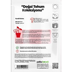200 Adet Kandil Dolma Biber Tohumu