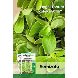6000 Adet Semizotu Tohumu