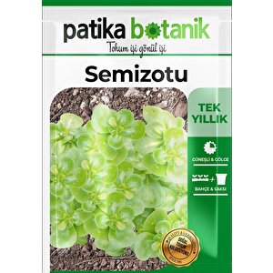 6000 Adet Semizotu Tohumu