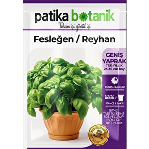 100 Adet Yeşil Fesleğen - Yeşil Reyhan (ocimum Basilicum) Tohumu