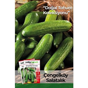 120 Adet Yerli Ata Çengelköy Salatalık Tohumu