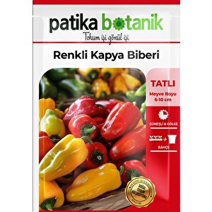100 Adet Renkli Kapya Biber Tohumu