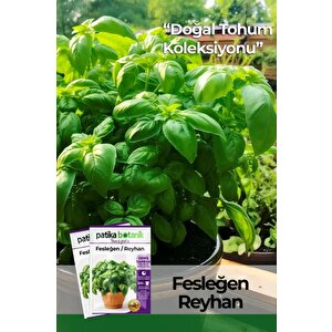 80 Adet Yerli Ata Yeşil Fesleğen - Yeşil Reyhan (ocimum Basilicum) Tohumu