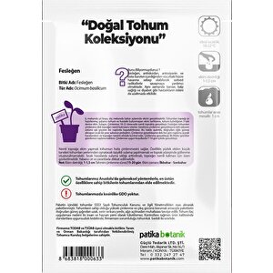 80 Adet Yerli Ata Yeşil Fesleğen - Yeşil Reyhan (ocimum Basilicum) Tohumu