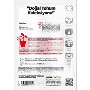 75 Adet Yerli Ata Kornişon (turşuluk) Salatalık Tohumu