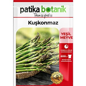 50 Adet Kuşkonmaz Tohumu - Yeşil Meyve