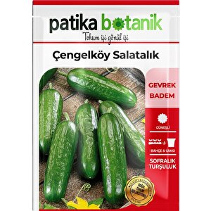150 Adet Çengelköy Salatalık Tohumu Gcl119