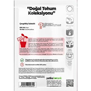 150 Adet Çengelköy Salatalık Tohumu Gcl119