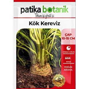 8.000 Adet Yerli Ata Kök Kereviz Tohumu
