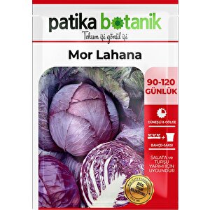 400 Adet Yerli Ata Kırmızı (mor) Lahana Tohumu