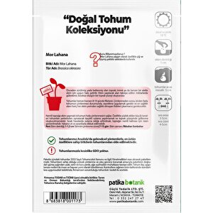 400 Adet Yerli Ata Kırmızı (mor) Lahana Tohumu