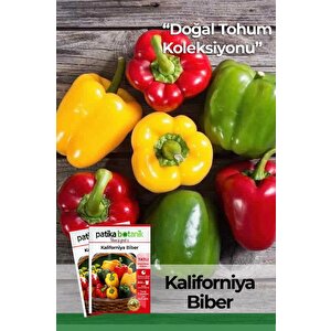 100 Adet Kaliforniya Biber Tohumu