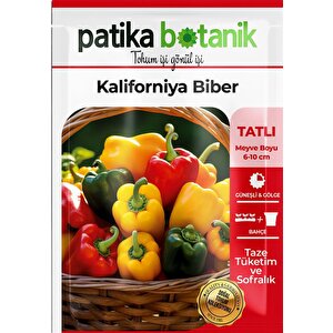 100 Adet Kaliforniya Biber Tohumu