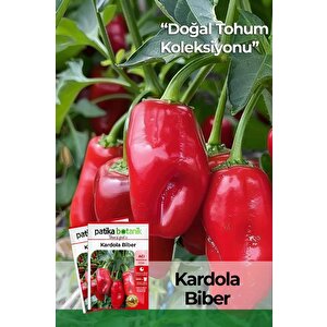 150 Adet Yerli Ata Kardola Biber Tohumu (mini Kapya)