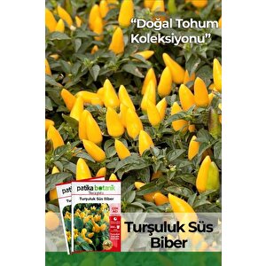 150 Adet Yerli Ata Turşuluk Süs Biberi