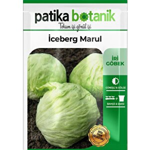 1000 Adet Göbek İceberg Marul Tohumu