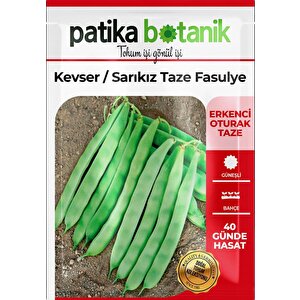 50 Adet Kevser (sarı Kız) Fasulye Tohumu