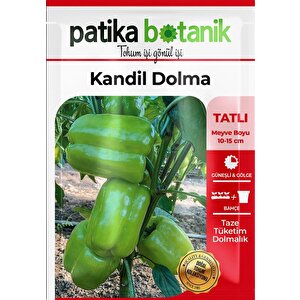 200 Adet Kandil Dolma Biber Tohumu