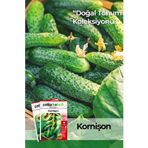 100 Adet Kornişon Salatalık Tohumu( Turşuluk)