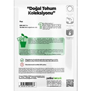 400 Adet Yerli Ata Geniş Yaprak Pazı Tohumu (10 Gram)