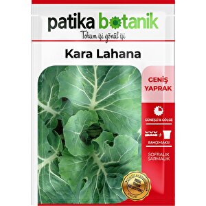 750 Adet Yerli Ata Kara (yaprak) Lahana Tohumu