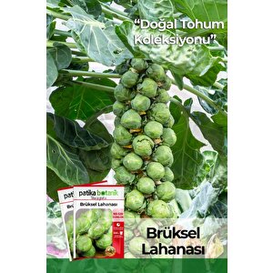 200 Adet Brüksel Lahana Tohumu
