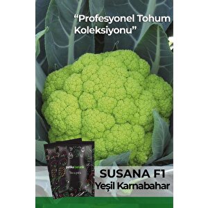 25 Adet Susana Yeşil Karnabahar Tohumu