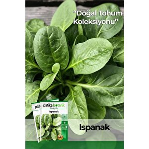 200 Adet Yerli Ata Ispanak Tohumu (geniş Yaprak)