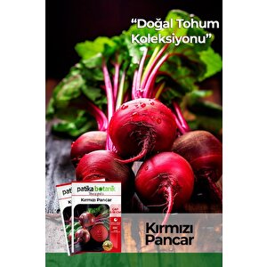 75 Adet Yerli Ata Kırmızı Pancar Tohumu