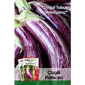 200 Adet Çizgili/alaca Patlıcan Tohumu
