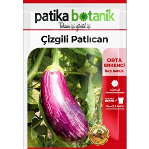 200 Adet Çizgili/alaca Patlıcan Tohumu