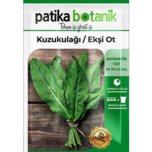 750 Adet Yerli Ata Kuzukulağı/ekşiotu Tohumu