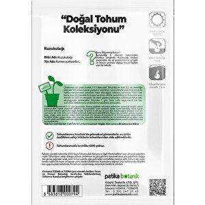 750 Adet Yerli Ata Kuzukulağı/ekşiotu Tohumu