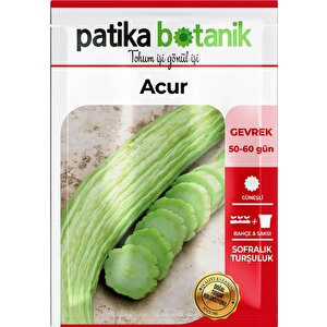 250 Adet Yerli Ata Acur Tohumu