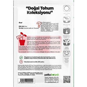 250 Adet Yerli Ata Acur Tohumu