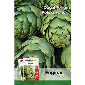15 Adet Yerli Ata Enginar Tohumu