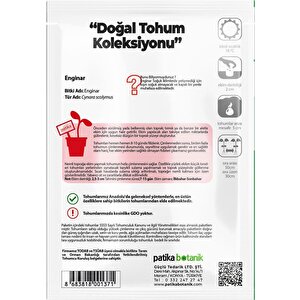 15 Adet Yerli Ata Enginar Tohumu