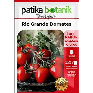 200 Adet Rio (bursa, Salçalık) Domates Tohumu