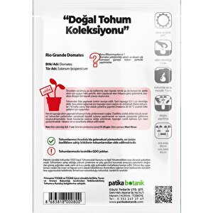 200 Adet Rio (bursa, Salçalık) Domates Tohumu