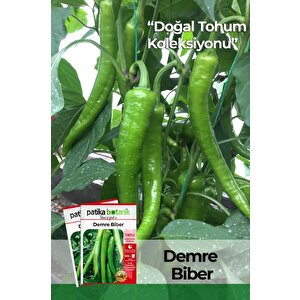 150 Adet Yerli Ata Demre Biber Tohumu