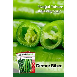150 Adet Yerli Ata Demre Biber Tohumu