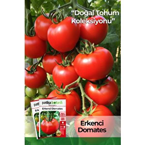 200 Adet Erkenci Domates Tohumu (oturak)