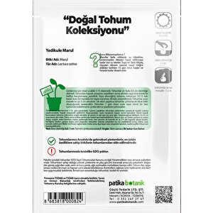 1.500 Adet Ata Tohumu Yerli Yedikule Marul