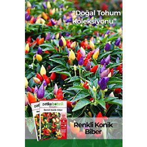 200 Adet Renkli Konik Biber Tohumu