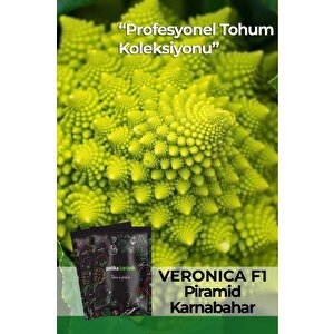 25 Adet Veronica Piramit Karnabahar Tohumu