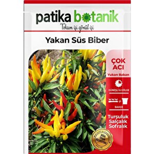 150 Adet Yerli Ata Sarı Süs Biber Tohumu